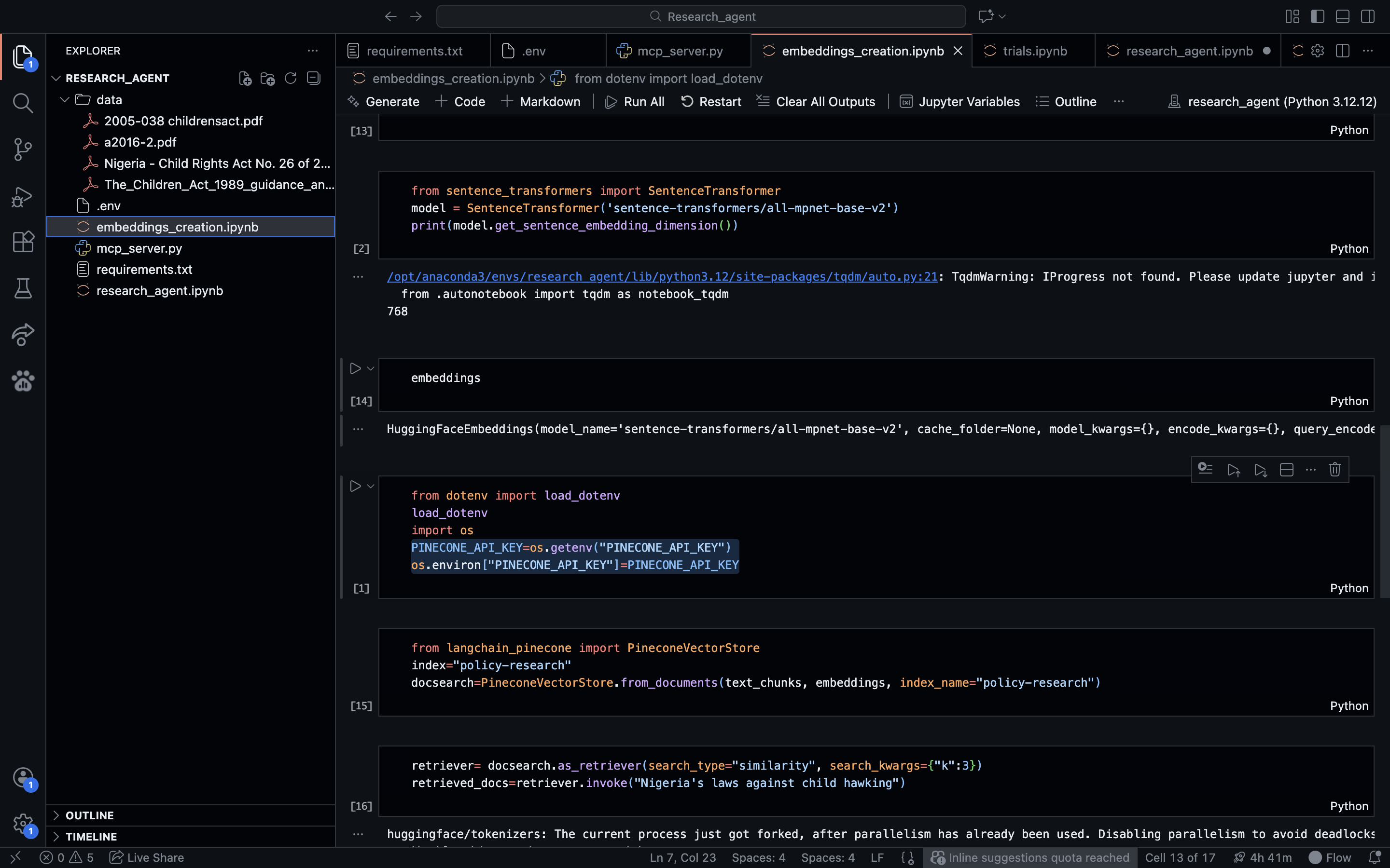 building my ai agent in jupyter notebook
